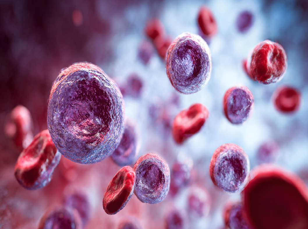 Нейтрофилы