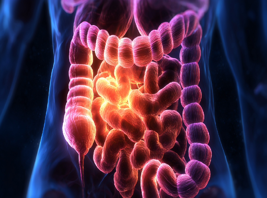 Воспаление толстой кишки