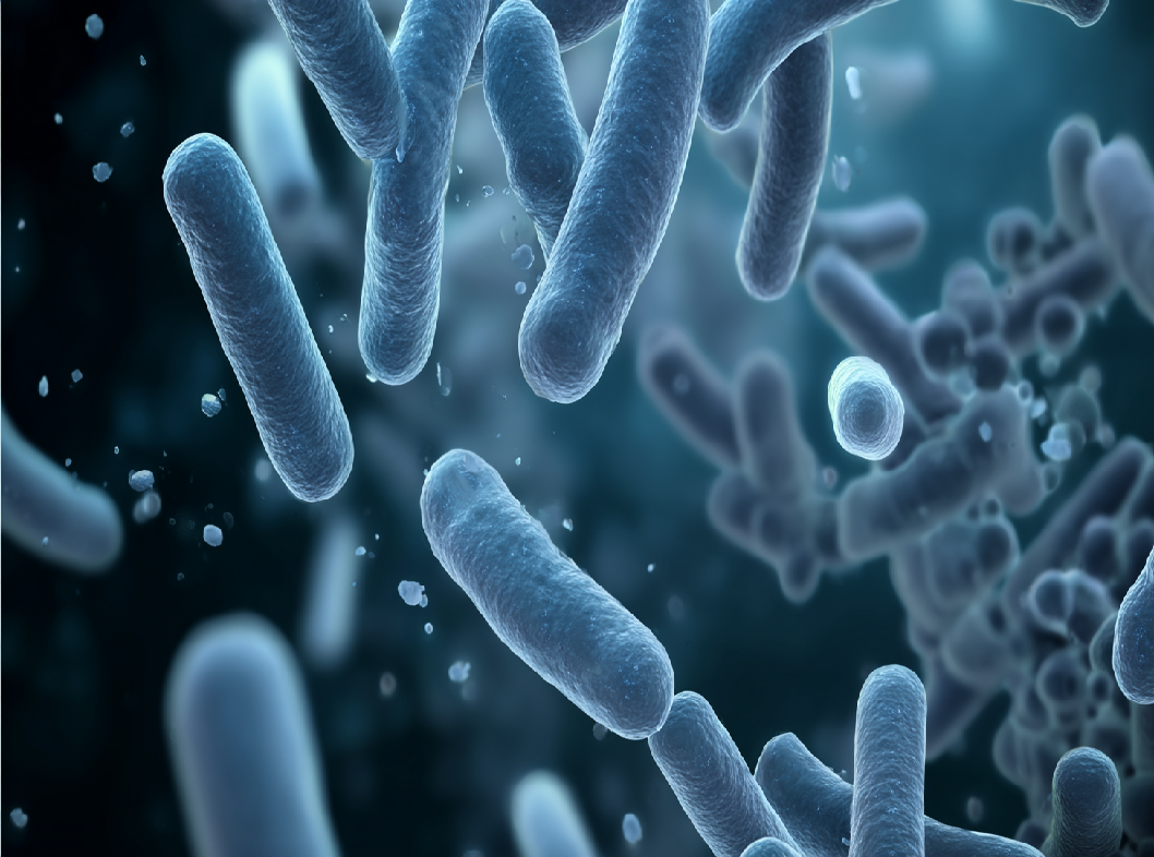 Анализ на лактобактерии