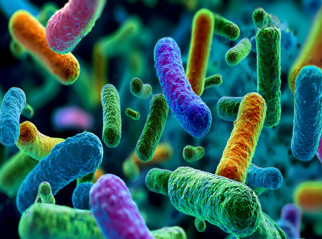 Микробиоценоз