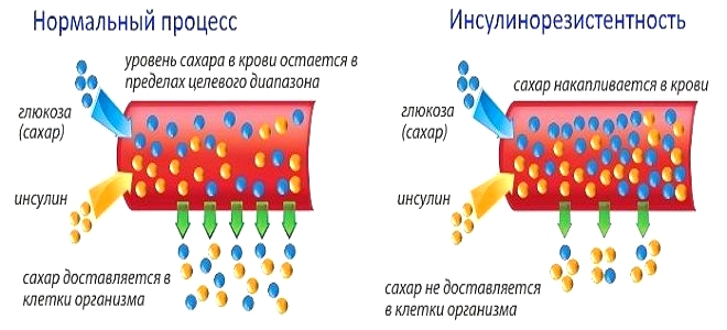 нома