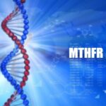 Мутация в гене MTHFR Arimed