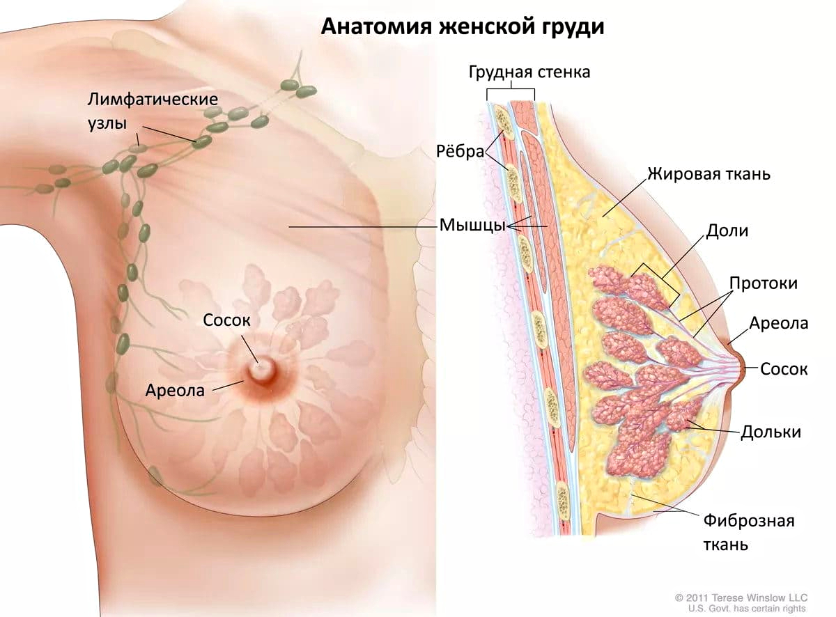 Постоянная боль в молочных железах