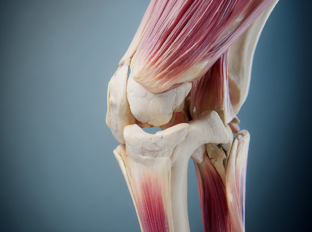 Болезнь Шляттера