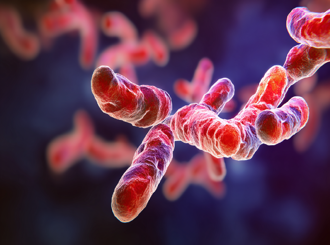 Почему повышается билирубин Arimed