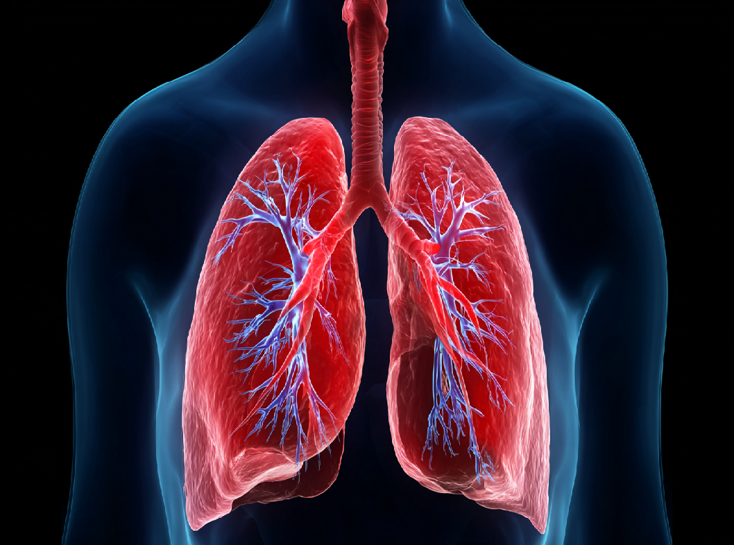 Тромбоэмболия легочных артерий