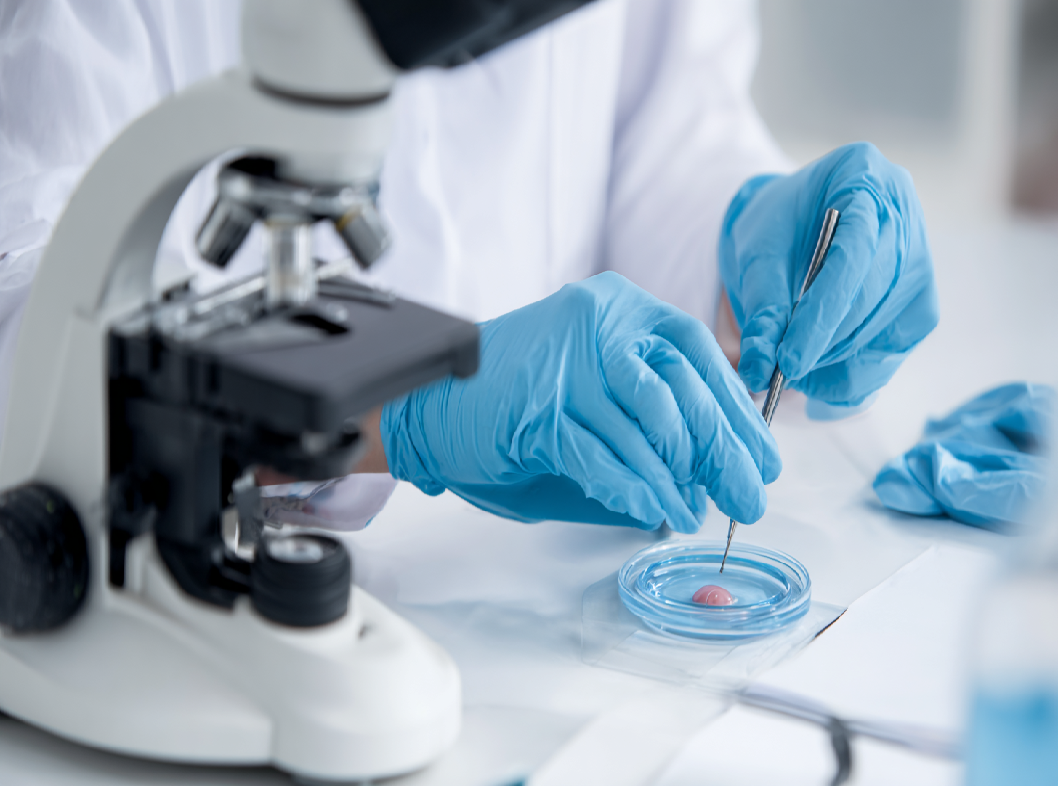 Check-up репродуктивная система для мужчин