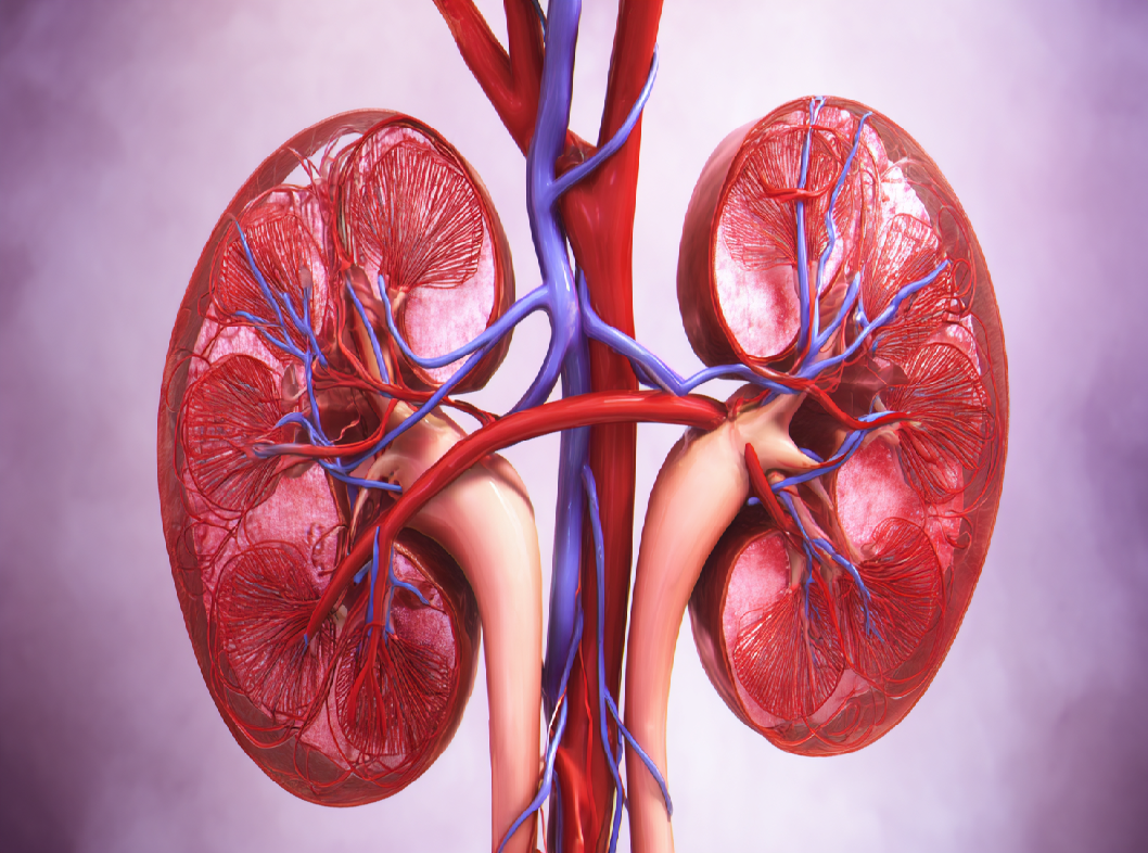 Портальная гипертензия