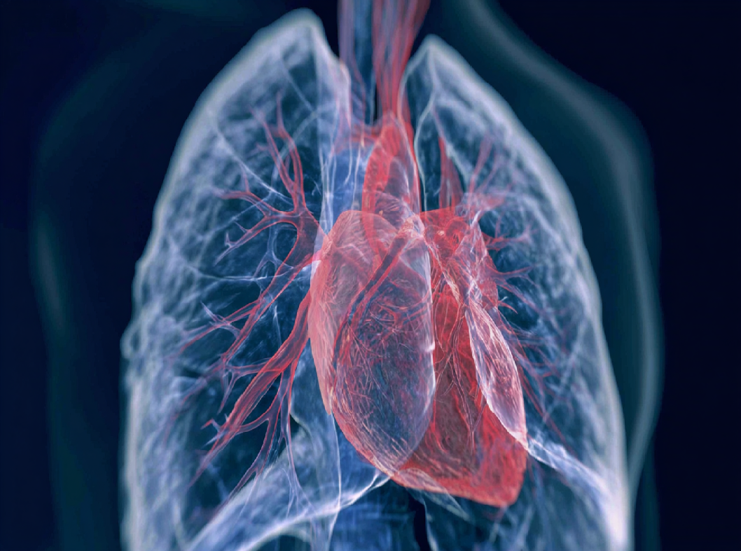 Сердечная астма
