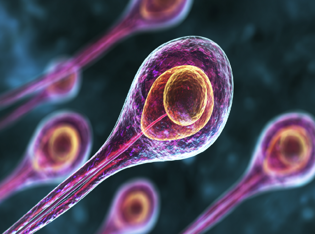 Баланопостит