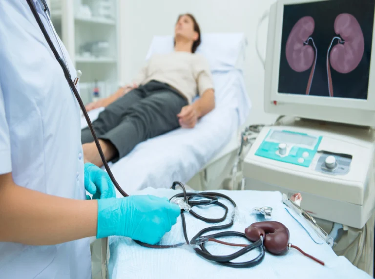 Check-up мочевыделительная система