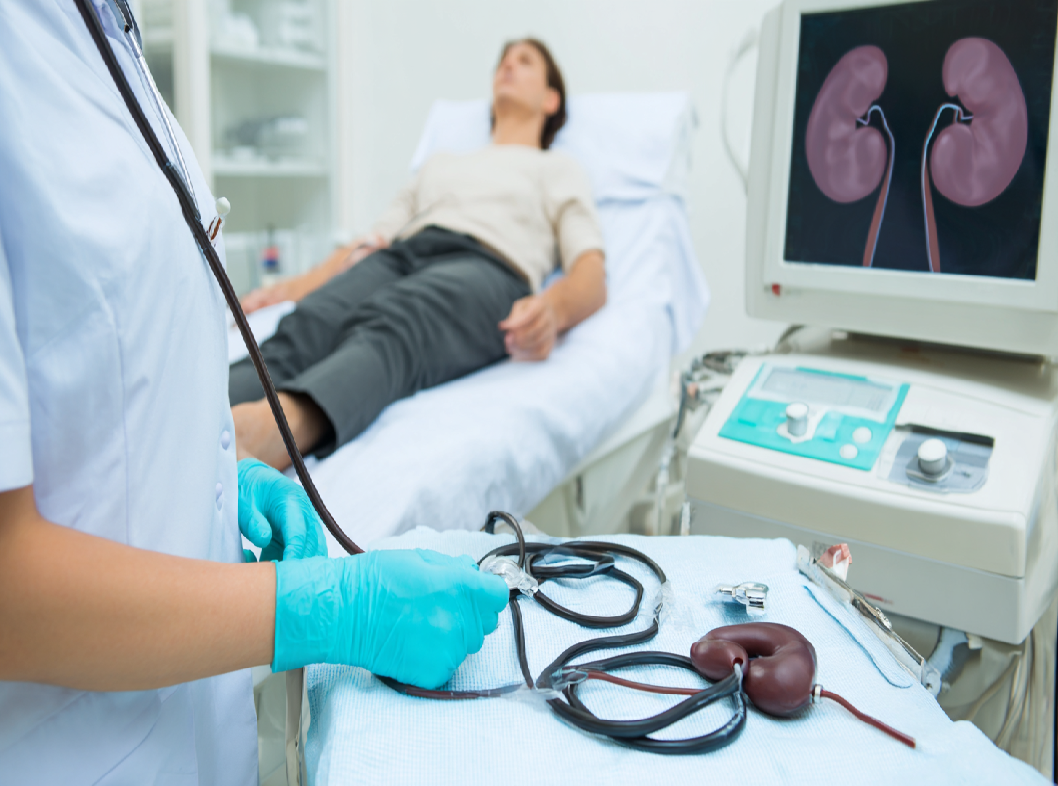Check-up мочевыделительная система