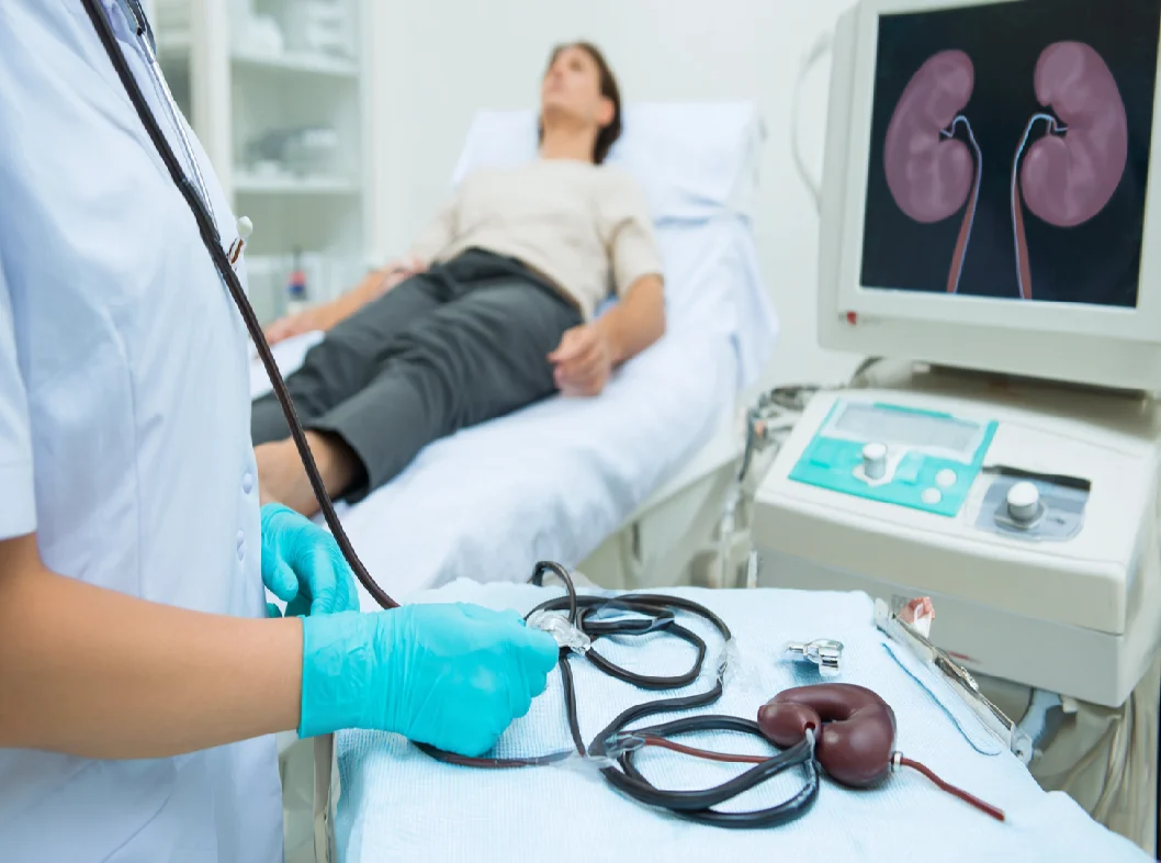 Check-up мочевыделительная система