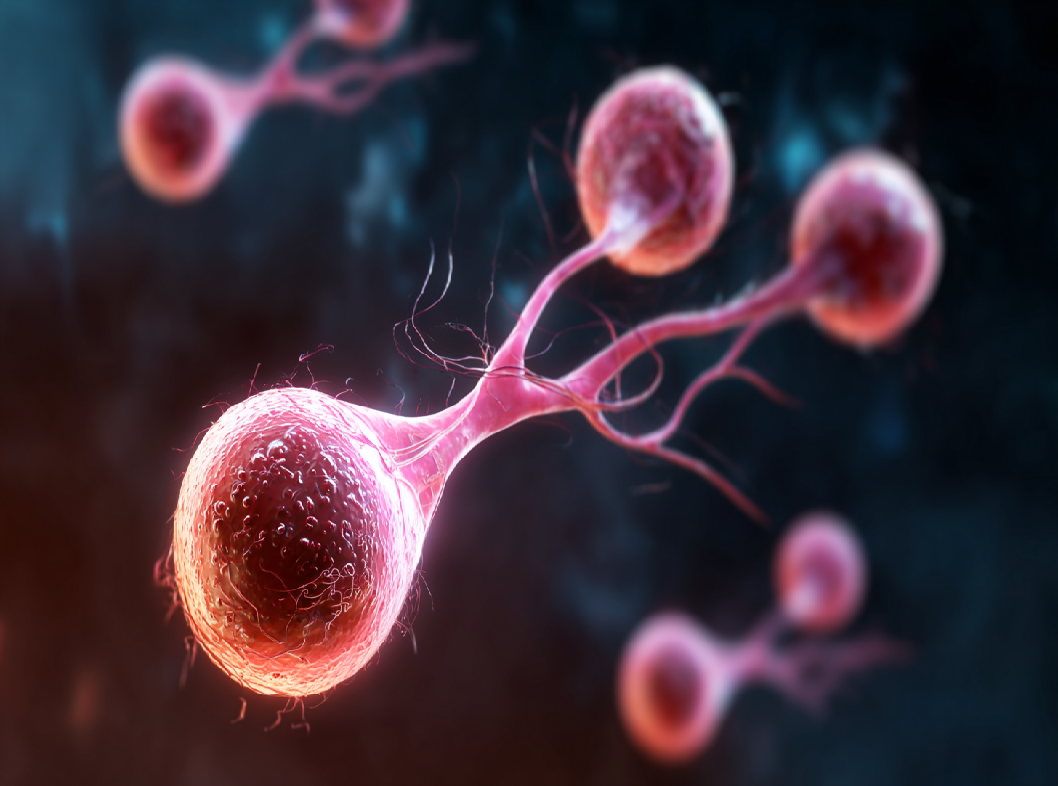 Покраснение уретры у мужчин