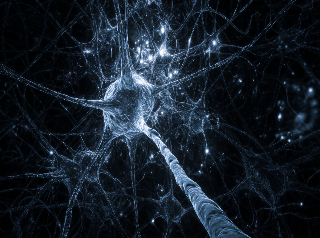 Физиология феномена дежавю