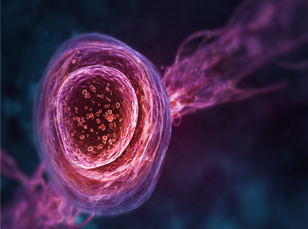 Непроходимость маточных труб