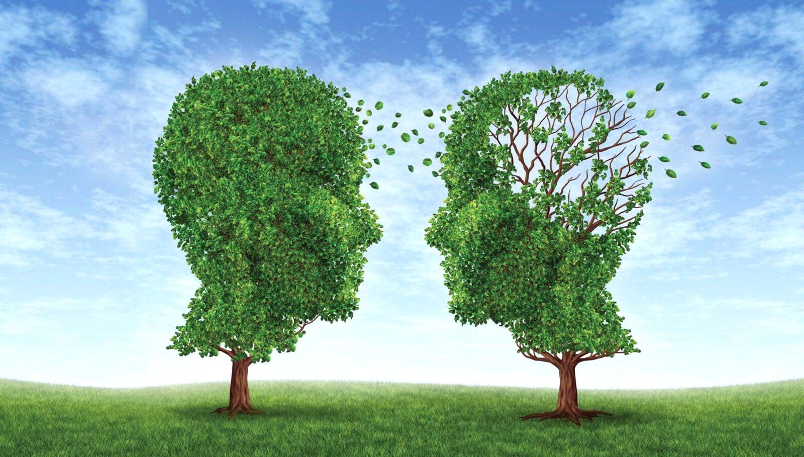 Генетическая предрасположенность к болезни Альцгеймера