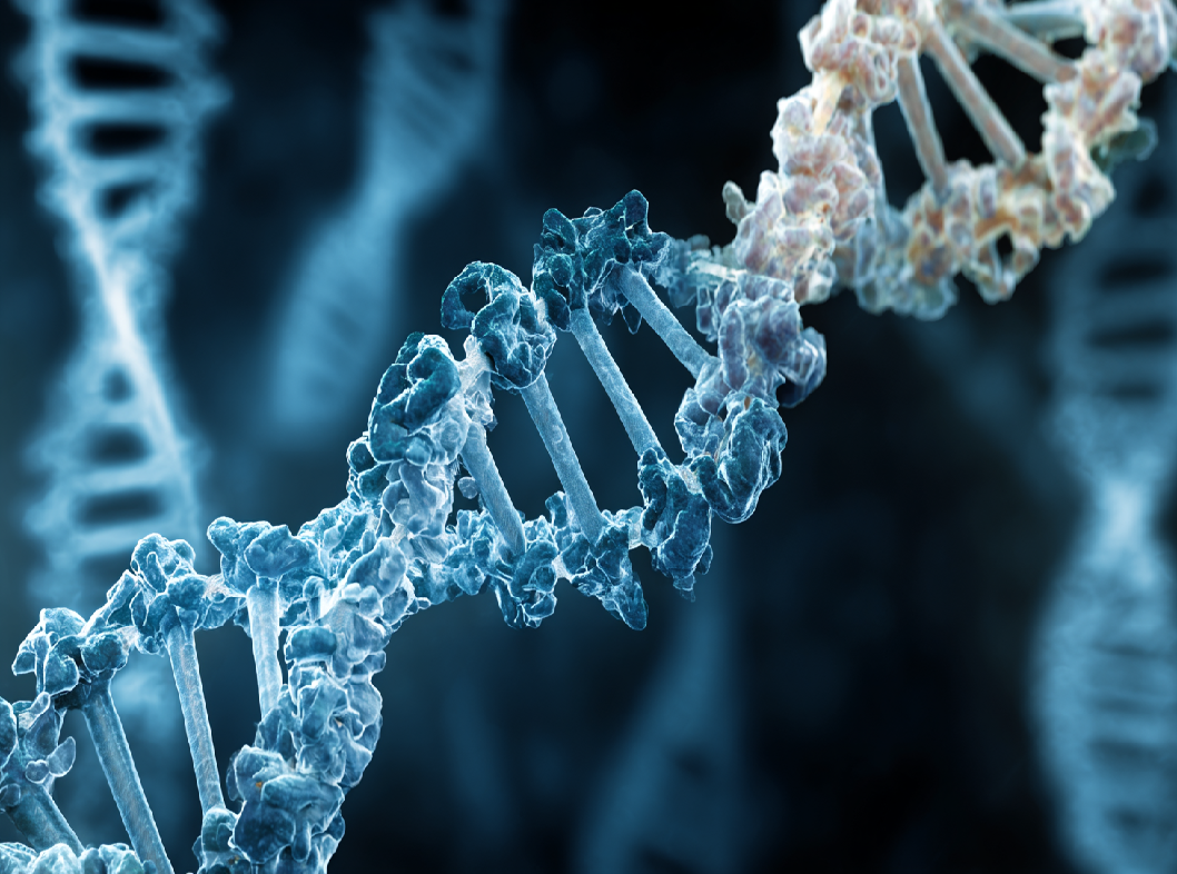 Генетическая предрасположенность к остеопорозу