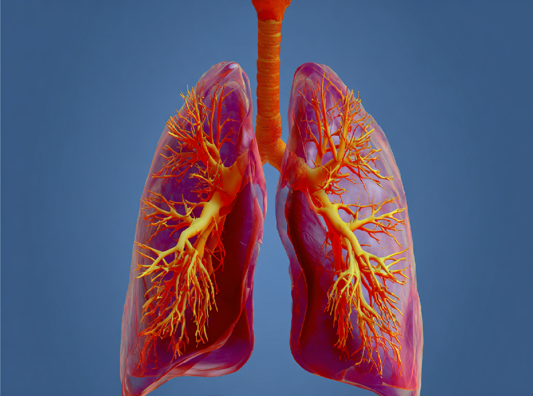 Аллергический бронхит