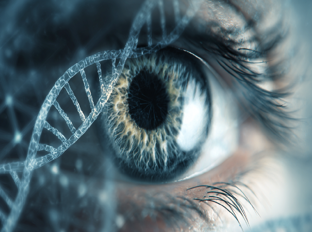 Генетическая предрасположенность к кератоконусу