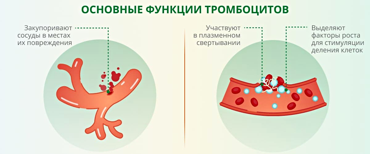 Почему повышаются тромбоциты