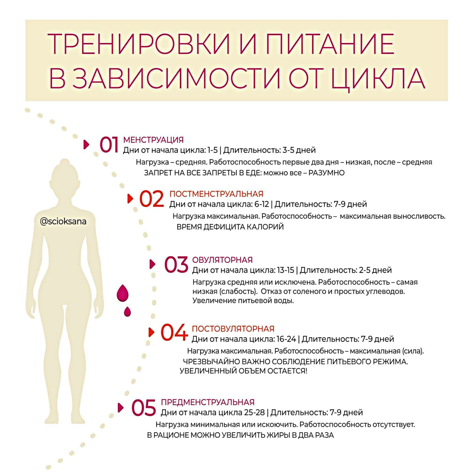 Месячные циклы у женщин норма таблица