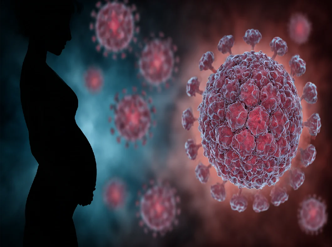 Антитела к вирусу краснухи у беременных повышены