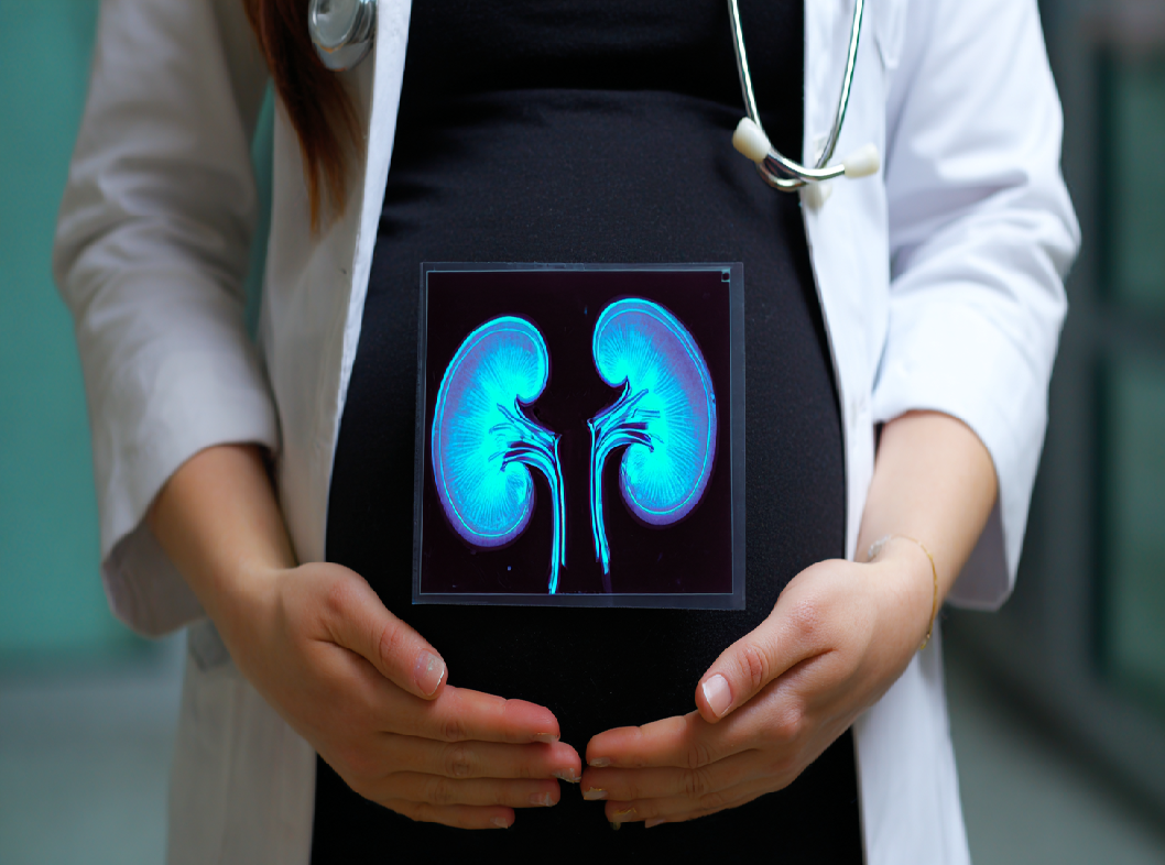 Беременность при единственной почке