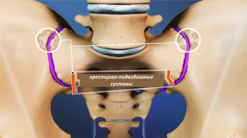 Крестцово-подвздошный сустав. КПС сустав крестцово-подвздошный. Блокада крестцово-подвздошного сочленения. Анатомия крестцово-подвздошного сочленения.
