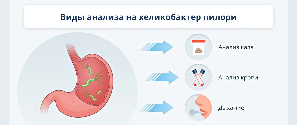 Тест На Хеликобактер Пилори Купить