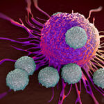 Что такое Т-клетки Arimed