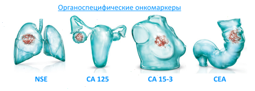 Онкомаркеры