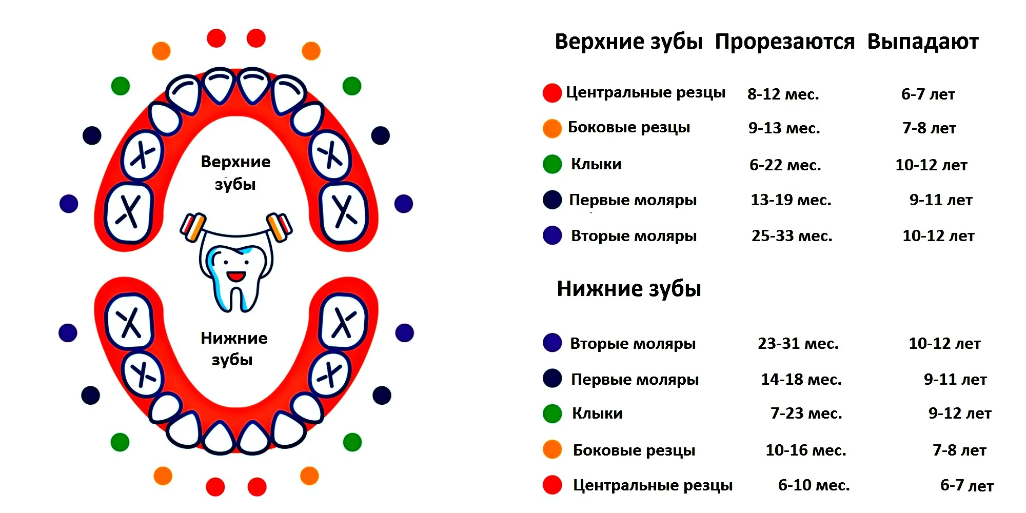 последовательность смены