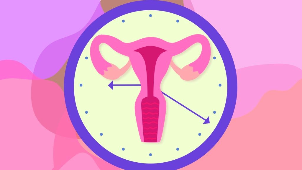 Норма толщины эндометрия в менопаузе Arimed