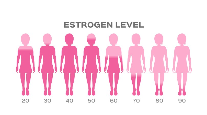 Низкий уровень эстрогена у женщин