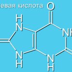 Повышенная мочевая кислота, что делать? Arimed