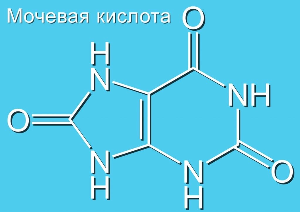 Повышенная мочевая кислота, что делать? Arimed