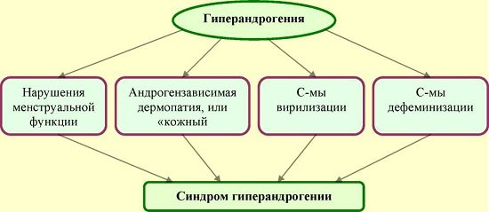 гиперандрогения у женщин