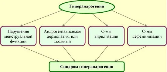 гиперандрогения у женщин