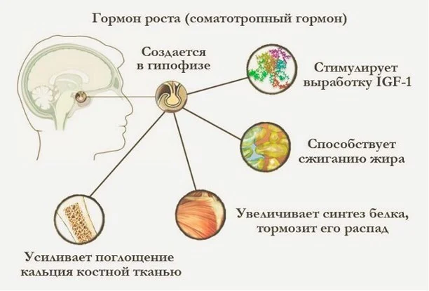 дефицит гормона роста
