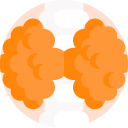 Эндокринолог Arimed Эндокринолог Arimed