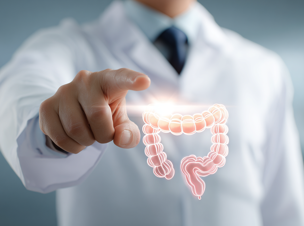 Плотные контакты кишечника: строение, функции и инфекции